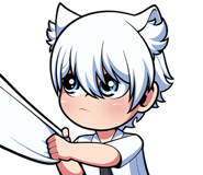 591687557