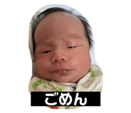 591725516