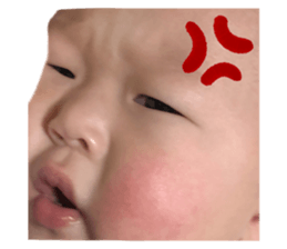 591828115