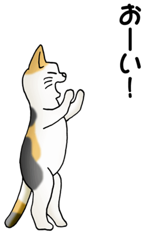 591944561