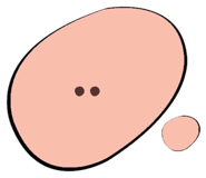 591995269
