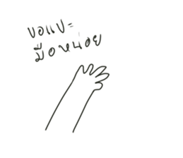 592005005