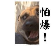 592007072