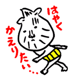 59202495