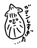 59202504