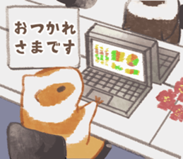 592051136