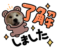 592077344