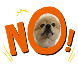 592090727