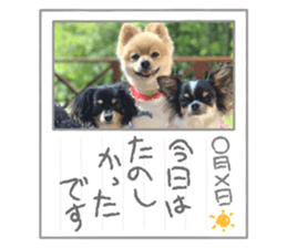 592090734