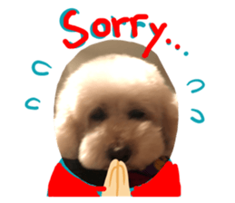 592091285