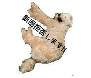 592100294