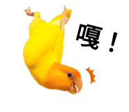 592118878