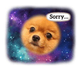 592159699