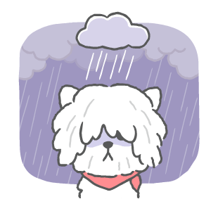 BT21 สวัสดี MANG ถอดหน้ากาก! รูปที่ 14