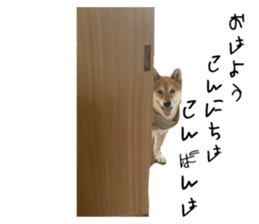 592218250