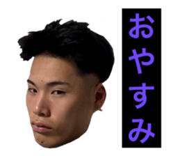 592227381
