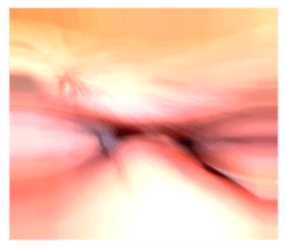 592235291