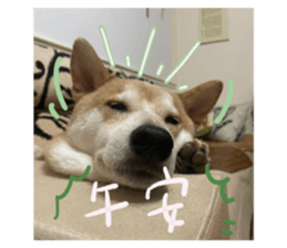 592241803