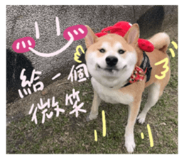 592241806