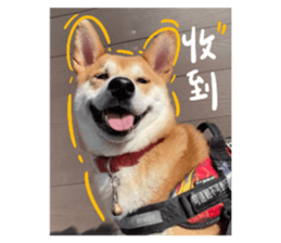 592241808