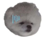 592245753