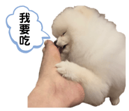 592245754