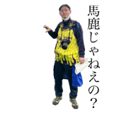 592271229