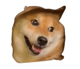 592273571