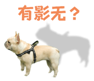 592325984