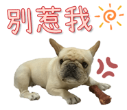 592325985