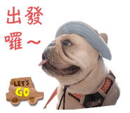 592325987