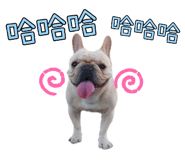 592325995