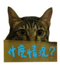 592349617