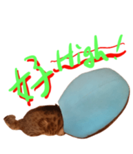 592349619