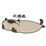 592351607