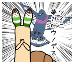 592352242