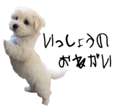 592353930