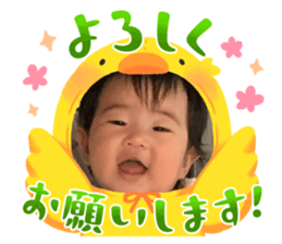 592367494