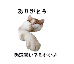 592421723