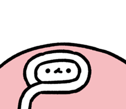 592454477