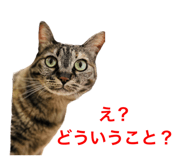 592481511