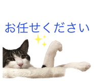 592481530