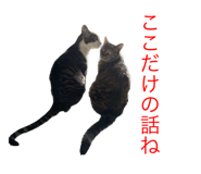 592481533