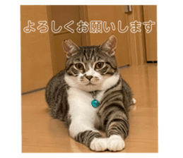 592484854