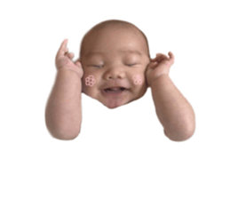 592487858
