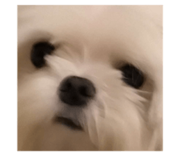 592488235