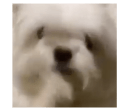 592488236