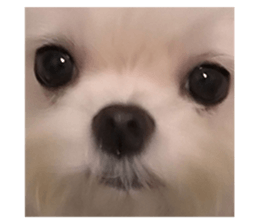 592488238