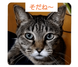 592489092