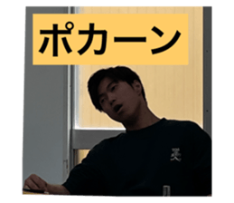 592491037